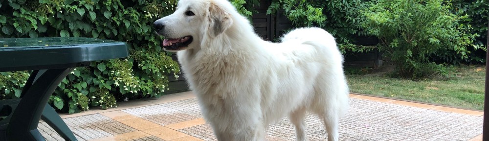 Ich bin gertenschlank!