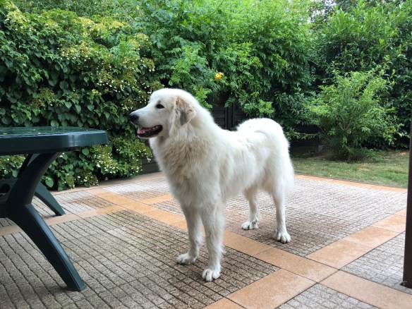 Ich bin gertenschlank!