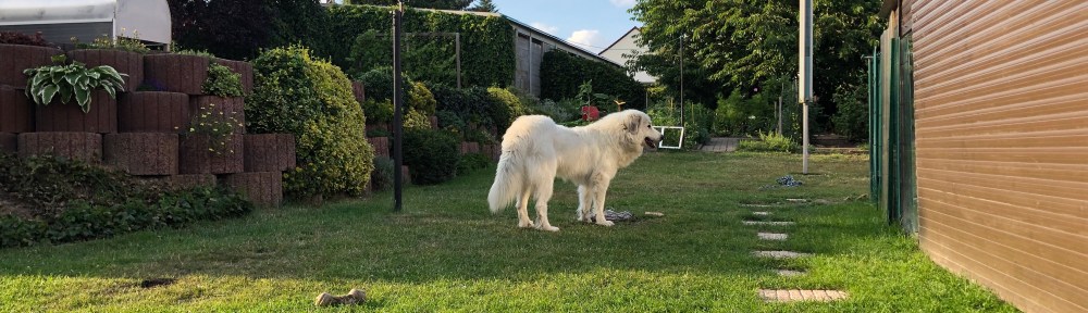 Die schlanke Bella in ihrem Garten