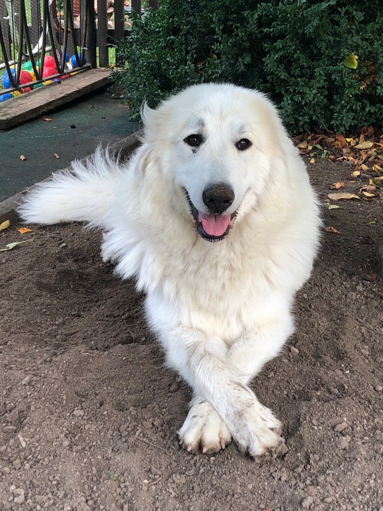 … ausruhen in der Kühlgrube