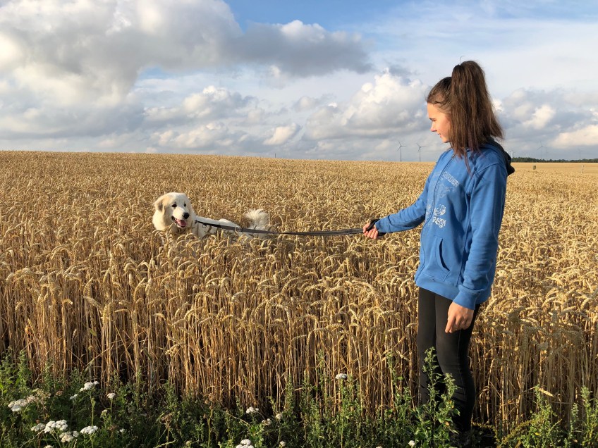 Mit meiner kleinen Menschenschwester im Weichweizenfeld