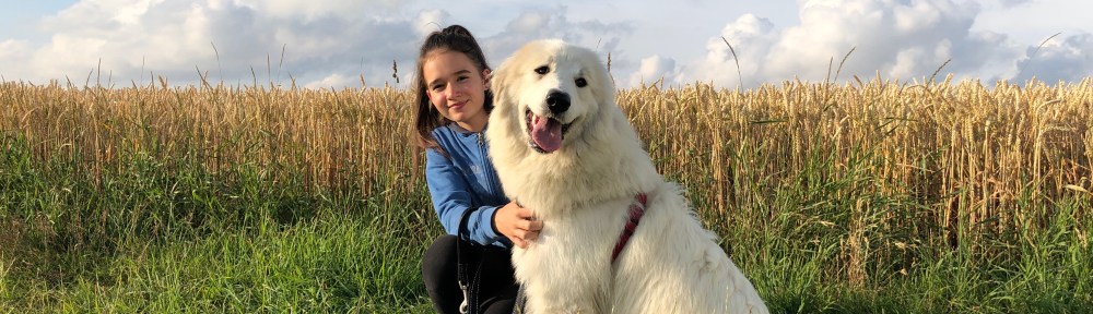 Meine kleine Menschenschwester und ihre Lieblings-Bella