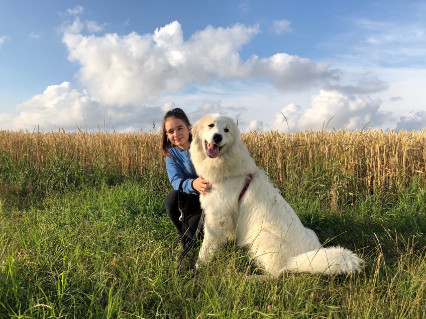 Meine kleine Menschenschwester und ihre Lieblings-Bella