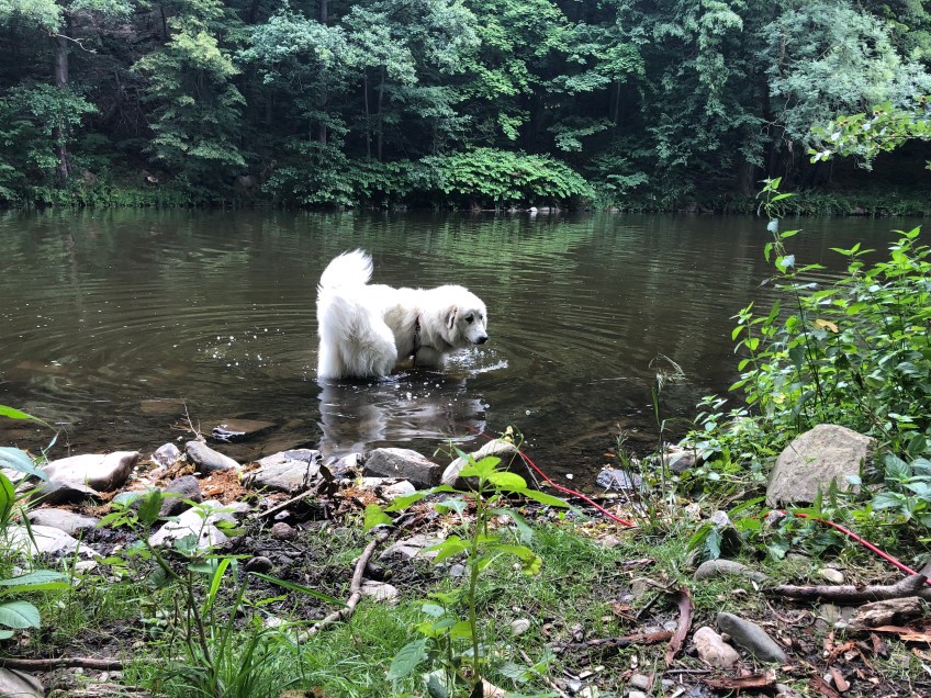 Baden im großen Fluß