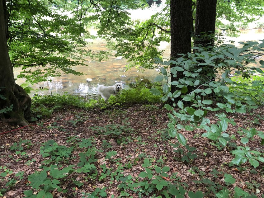 Noch eine Badestelle