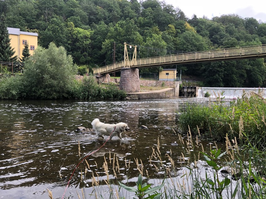 Baden an der Wackelbrücke