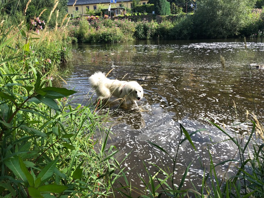 Baden an der Wackelbrücke