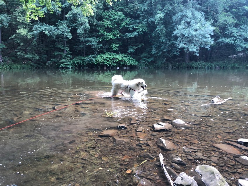 Bella in der Tschooo-Pauuu