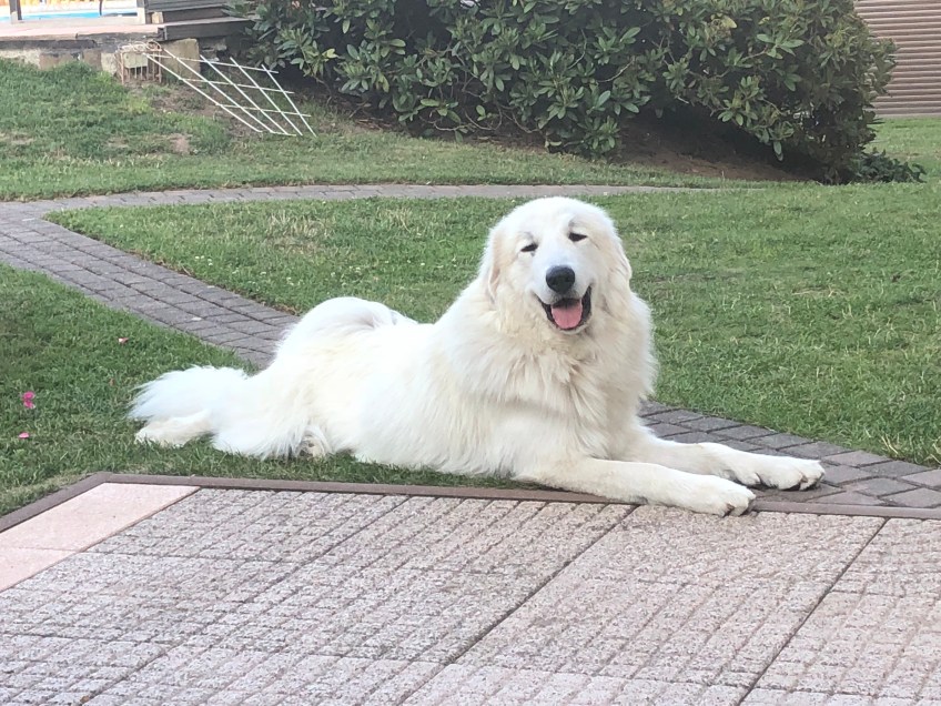 Da lacht die Prinzessin