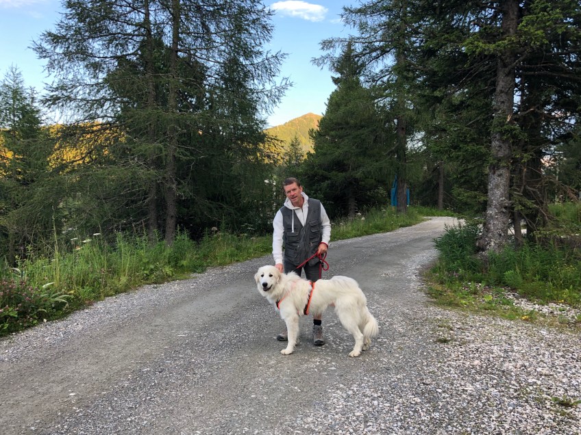 Abendspaziergang in der Maierbruggersiedlung