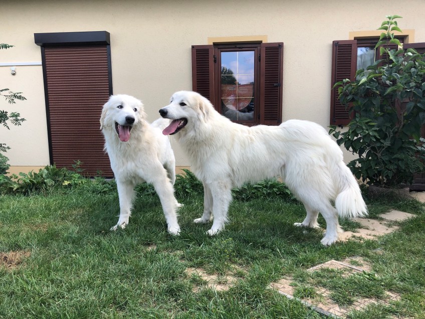 Prinzessin und Prinzessin