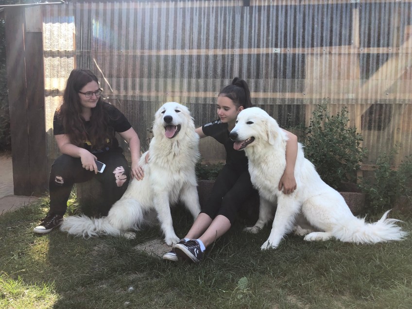 Große Schwester(n), kleine Schwester(n)