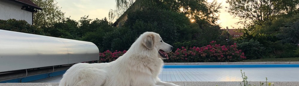 … die Bella genießt!