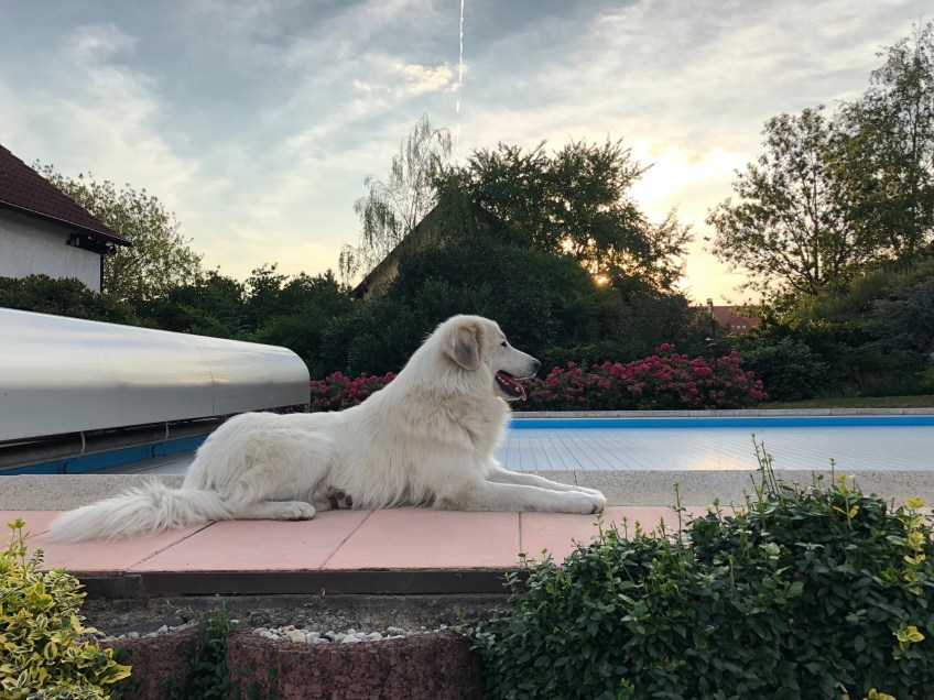 … die Bella genießt!