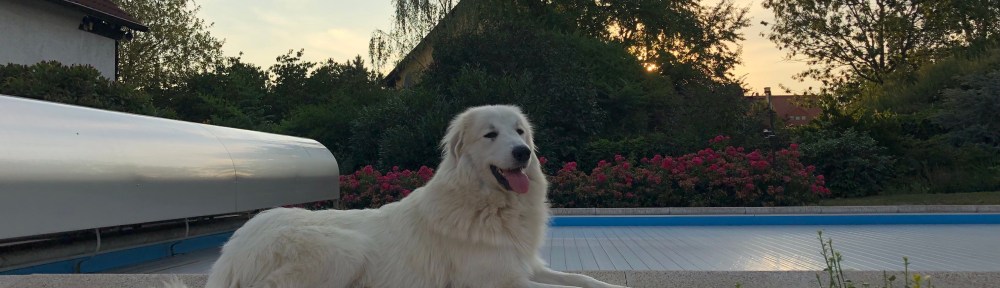 Sonnenuntergang am Pool …