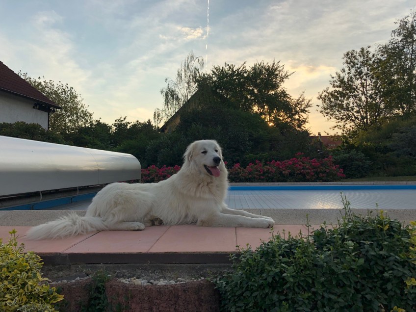 Sonnenuntergang am Pool …