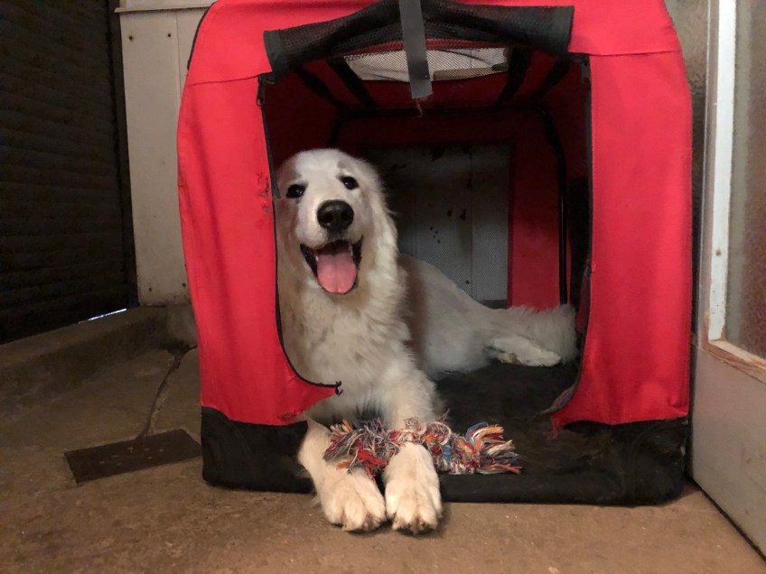 In meinem kleinen roten Ferienhaus