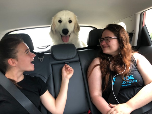 Die Bella hat ein eigenes Zimmer in ihrem roten Auto!