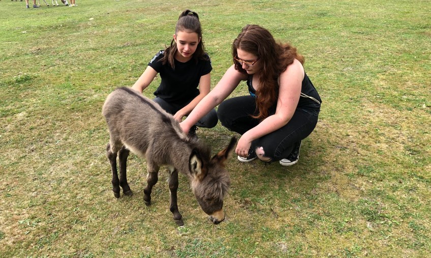 Alex und Jessi mit Baby-Esel