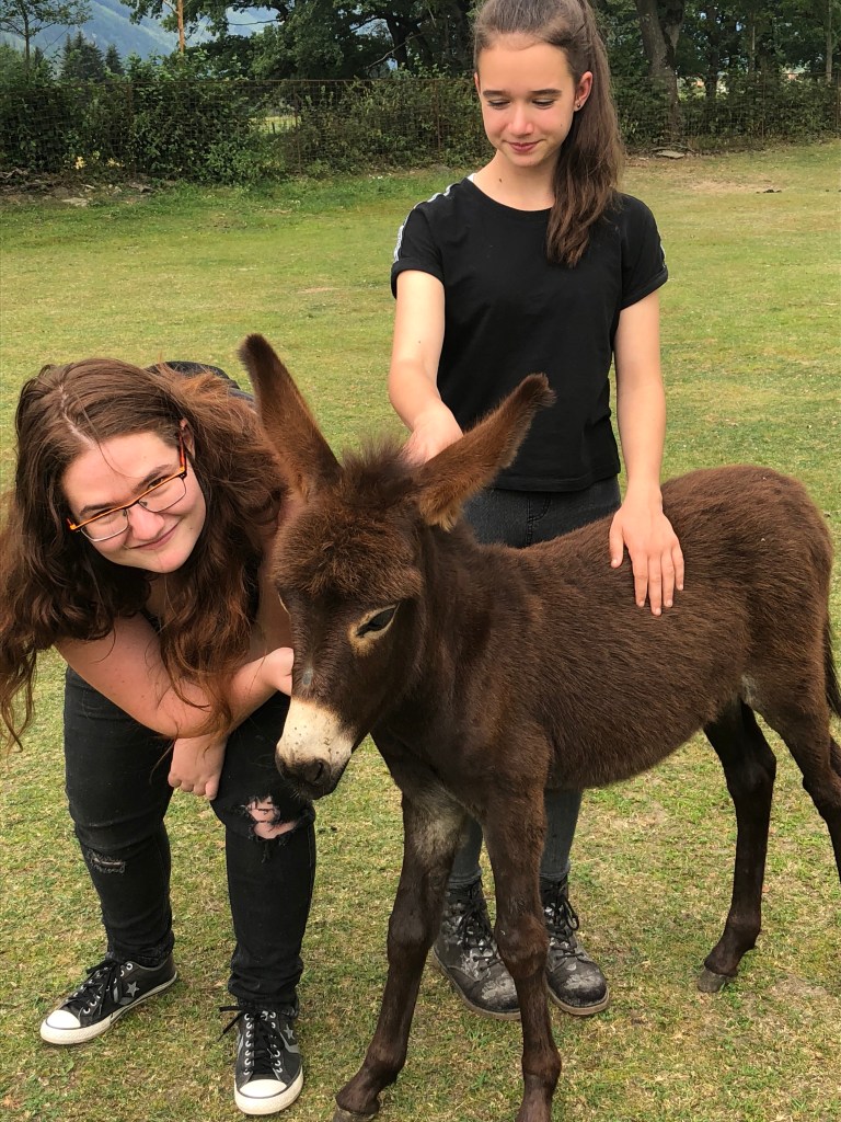 Meine Menschenschwestern mit Eselnsbaby