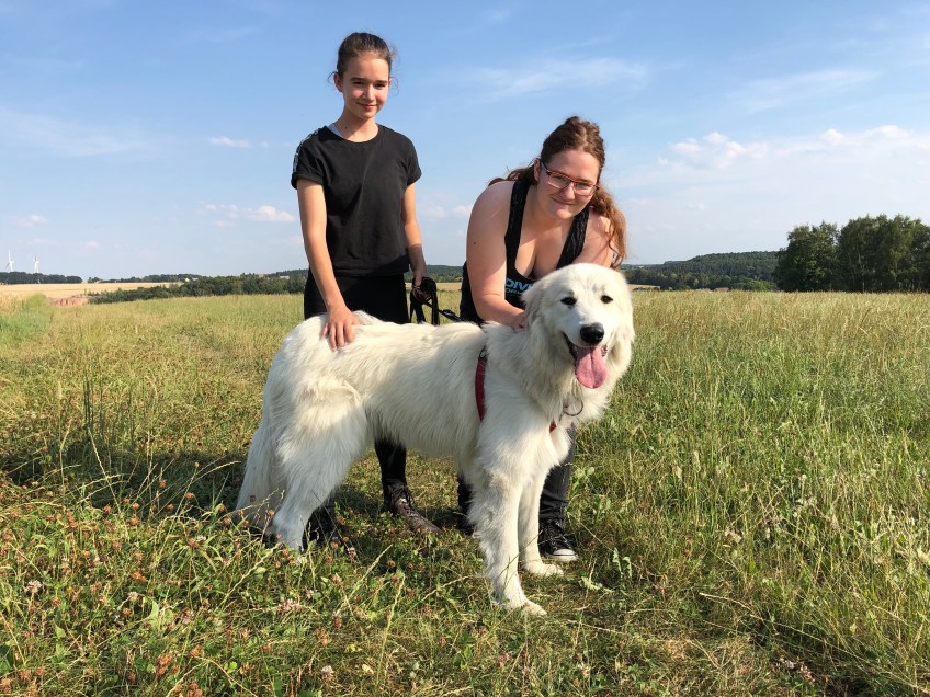 Mit meinen Menschenschwestern auf der großen Feldwiese