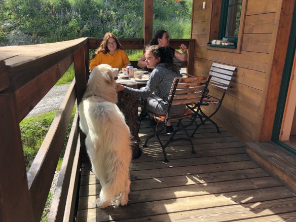 Beim Kaffee auf der Terrasse