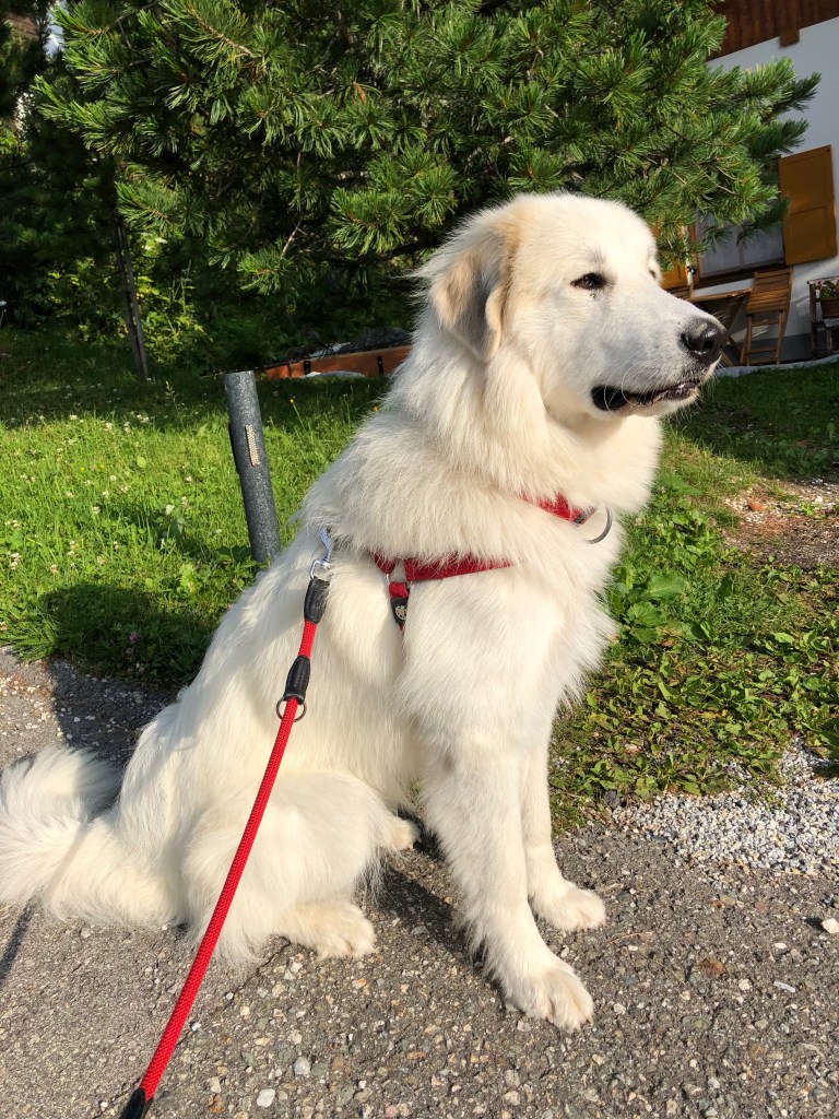 Ich bin hier die Chefin!