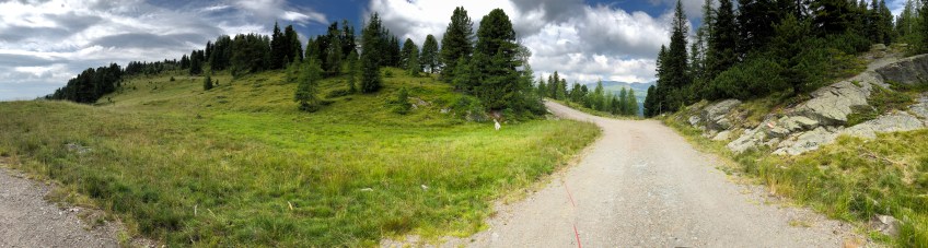 Pyrenäenberghündinnenbergpanorama