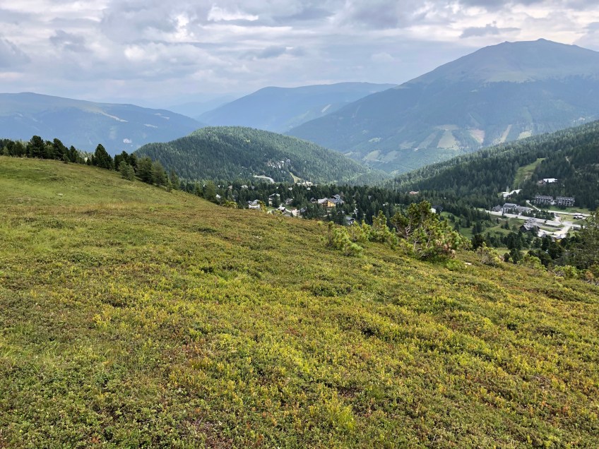 Blick zur Maibruggersiedlung