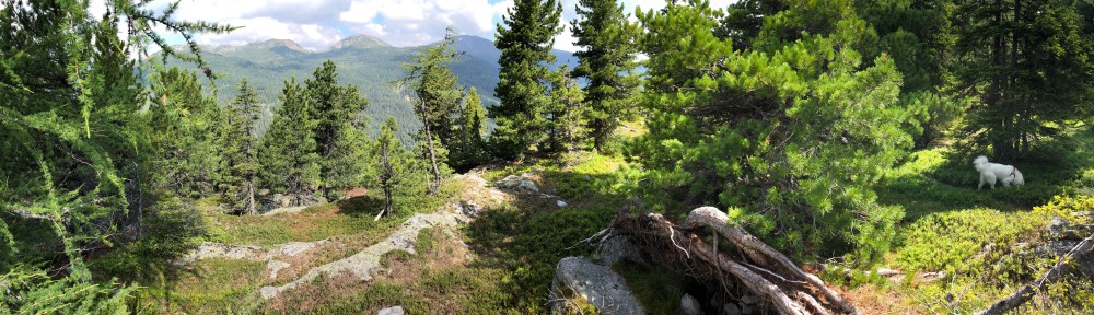 Bergpanorama auf dem Weg zur Schafalm
