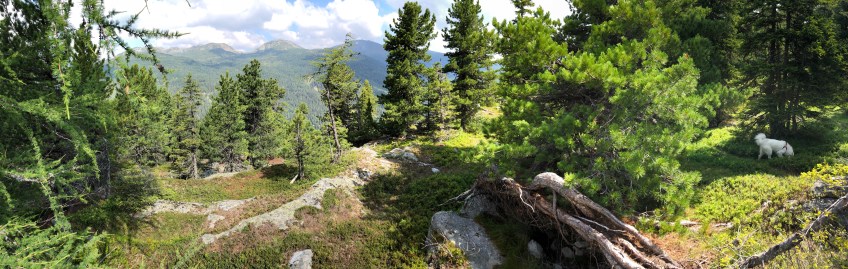 Bergpanorama auf dem Weg zur Schafalm