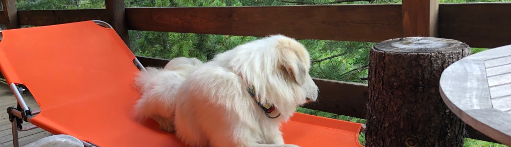 Auf meinem Ferienbalkon