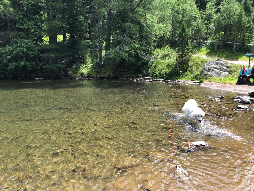 Die Bella im Grünsee