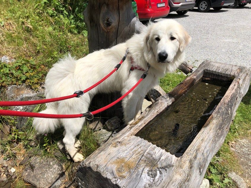 Mein Trinkwasser …