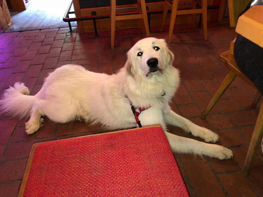 In der "Almstubn" Bad Kleinkirchheim