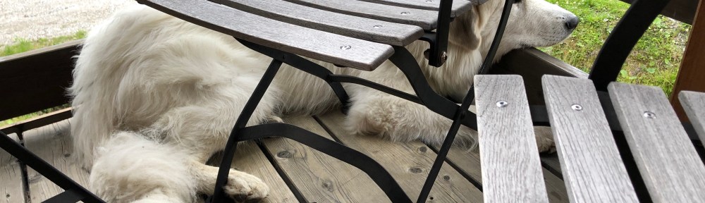 Ich passe auf alles auf!