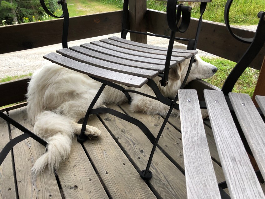 Ich passe auf alles auf!