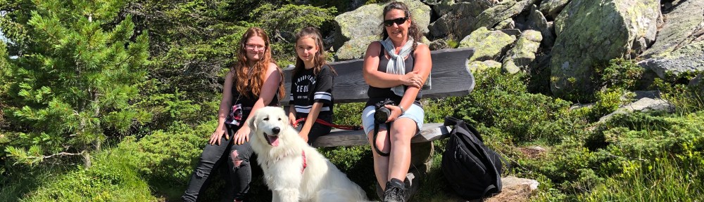 Vier Mädchen im Hochmoor