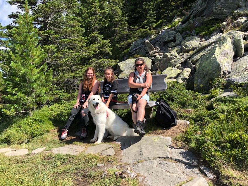 Vier Mädchen im Hochmoor
