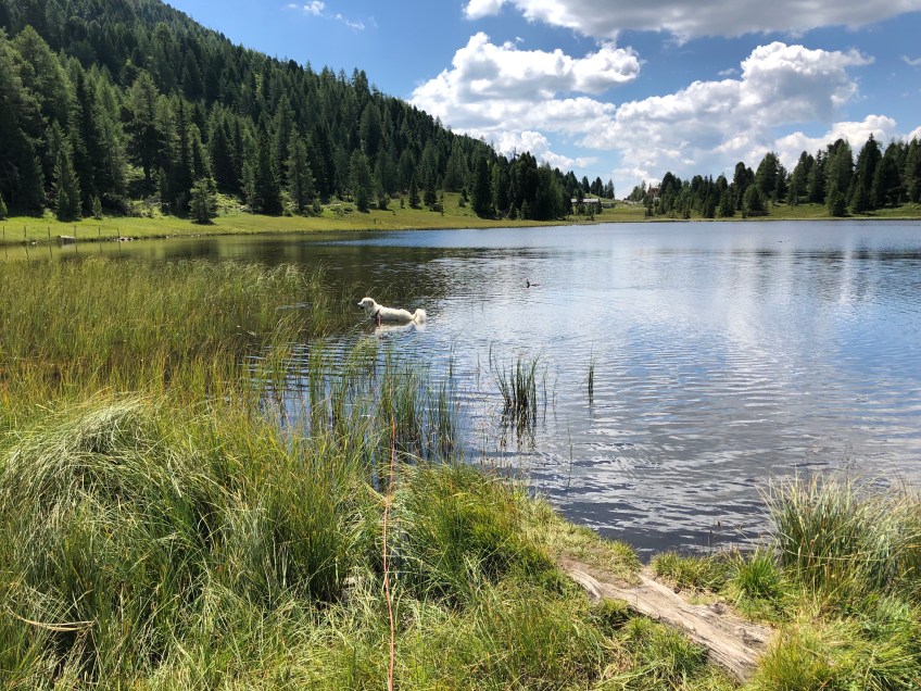 Baden im Schwarzsee