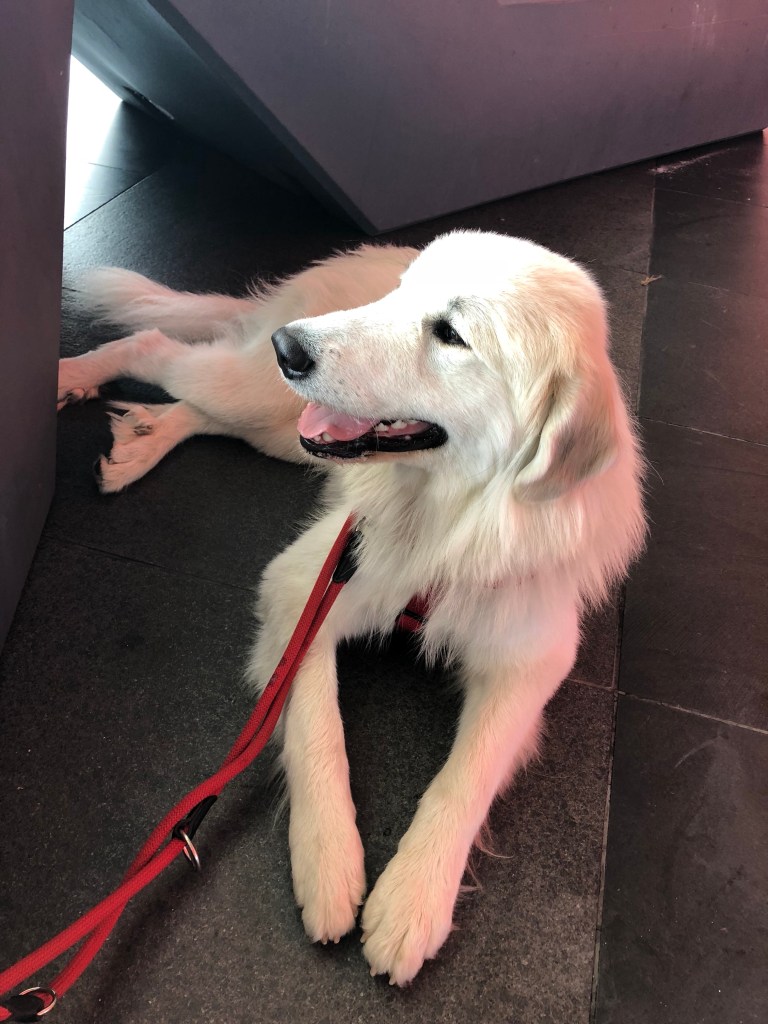 Die Bella vorm Atrio Villach