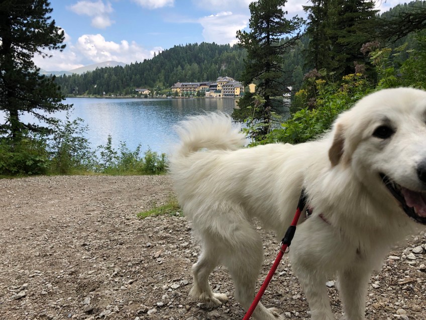 Blick auf Seehotel "Jägerwirt", Turracher See und Bella (v.h.n.v.)
