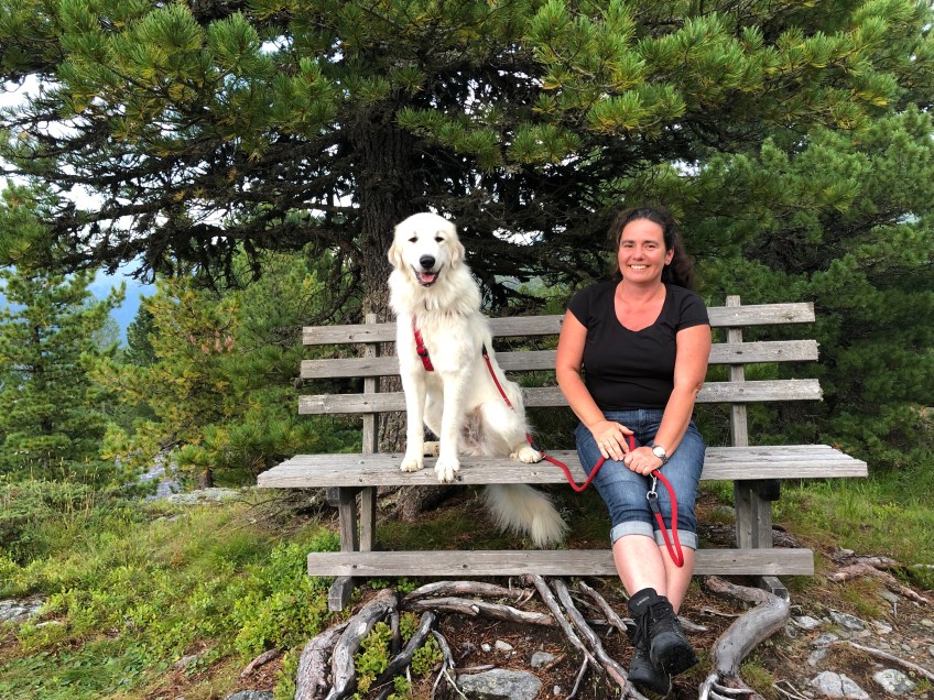 Abendspaziergang an der Blumenwiese