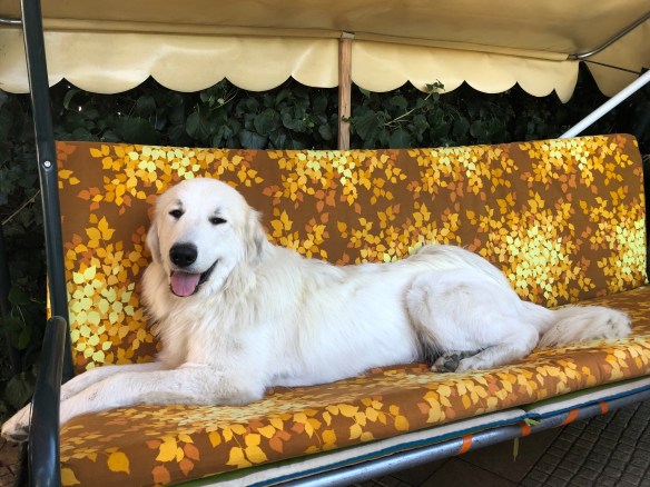 Auf meiner Schaukelliege