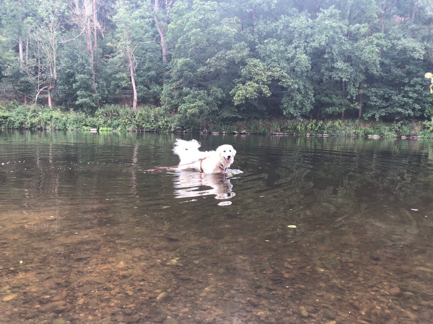 Baden im großen Fluß mit dem komischen Namen