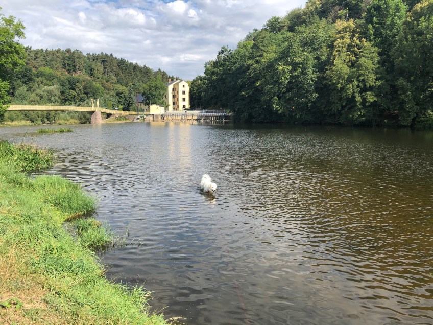 Neue Badestelle an der Wackelbrücke