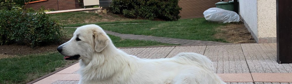 Ich liege auf meiner Terrasse