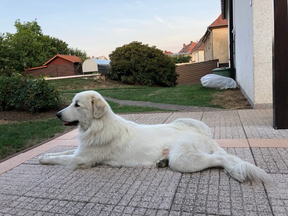 Ich liege auf meiner Terrasse