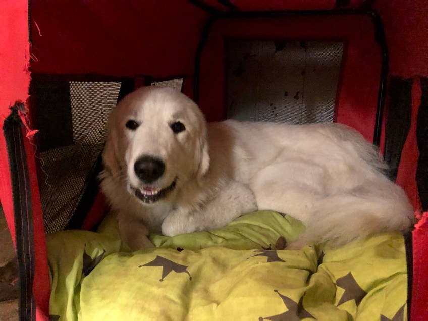 Gute Nacht!