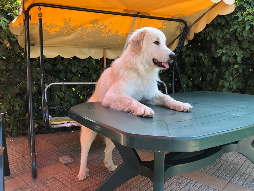 … Hört mal gut zu …